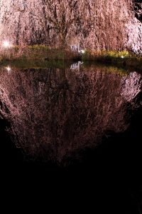カメラ機種名Canon EOS 7D レンズ EF-S18-135mm f/3.5-5.6 IS ISO感度 160 Av(絞り数値) 8.0 Tv(シャッター速度) 30 
