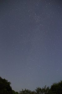 カメラ機種名Canon EOS 7D レンズ EF-S18-135mm f/3.5-5.6 IS IS II USM ISO感度 1600 Av(絞り数値) 3.5 Tv(シャッター速度) 30 