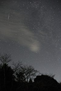 カメラ機種名Canon EOS 7D レンズ EF-S18-135mm f/3.5-5.6 IS IS II USM ISO感度 1600 Av(絞り数値) 3.5 Tv(シャッター速度) 30 