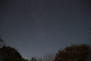 カメラ機種名Canon EOS 7D レンズ EF-S18-135mm f/3.5-5.6 IS IS II USM ISO感度 1600 Av(絞り数値) 3.5 Tv(シャッター速度) 30 