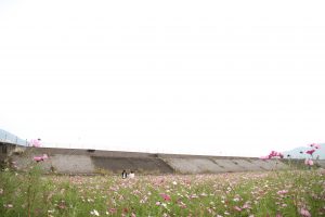 img_3993