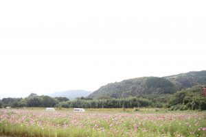 img_3997