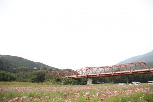 img_4001