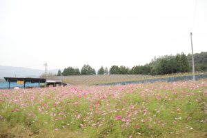 img_4054