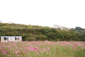 img_4056
