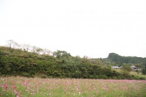 img_4059