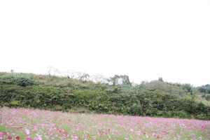 img_4063