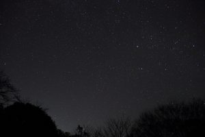 カメラ機種名Canon EOS 7D レンズ EF-S18-135mm f/3.5-5.6 IS IS II USM ISO感度 1600 Av(絞り数値) 3.5 Tv(シャッター速度) 30 