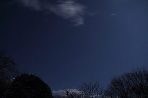 カメラ機種名Canon EOS 7D レンズ	EF-S18-135mm f/3.5-5.6 IS IS II USM ISO感度	400 Av(絞り数値)	3.5 Tv(シャッター速度)	8 