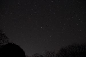 img_6563