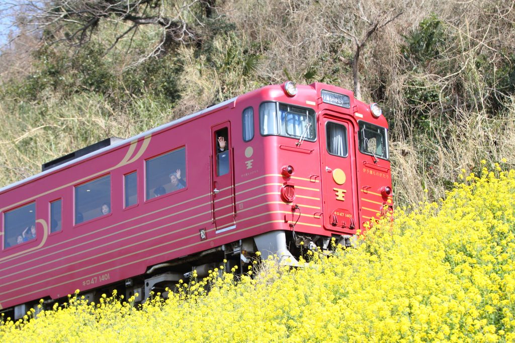 カメラ機種名Canon EOS 7D レンズ	EF70-200mm f/2.8L IS II USMf/2.8L IS II USM ISO感度	100 Av(絞り数値)	2.8 Tv(シャッター速度)	1/800 
