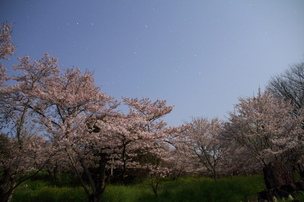 カメラ機種名Canon EOS 7D レンズ	EF-S18-135mm f/3.5-5.6 IS IS II USM ISO感度	800 Av(絞り数値)	3.5 Tv(シャッター速度)	30 