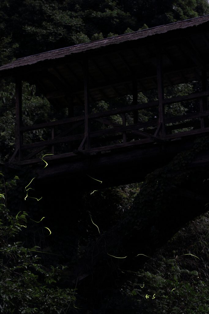 カメラ機種名Canon EOS 7D レンズ	EF70-200mm f/2.8L IS II USMf/2.8L IS II USM ISO感度	1600 Av(絞り数値)	2.8 Tv(シャッター速度)	30 
