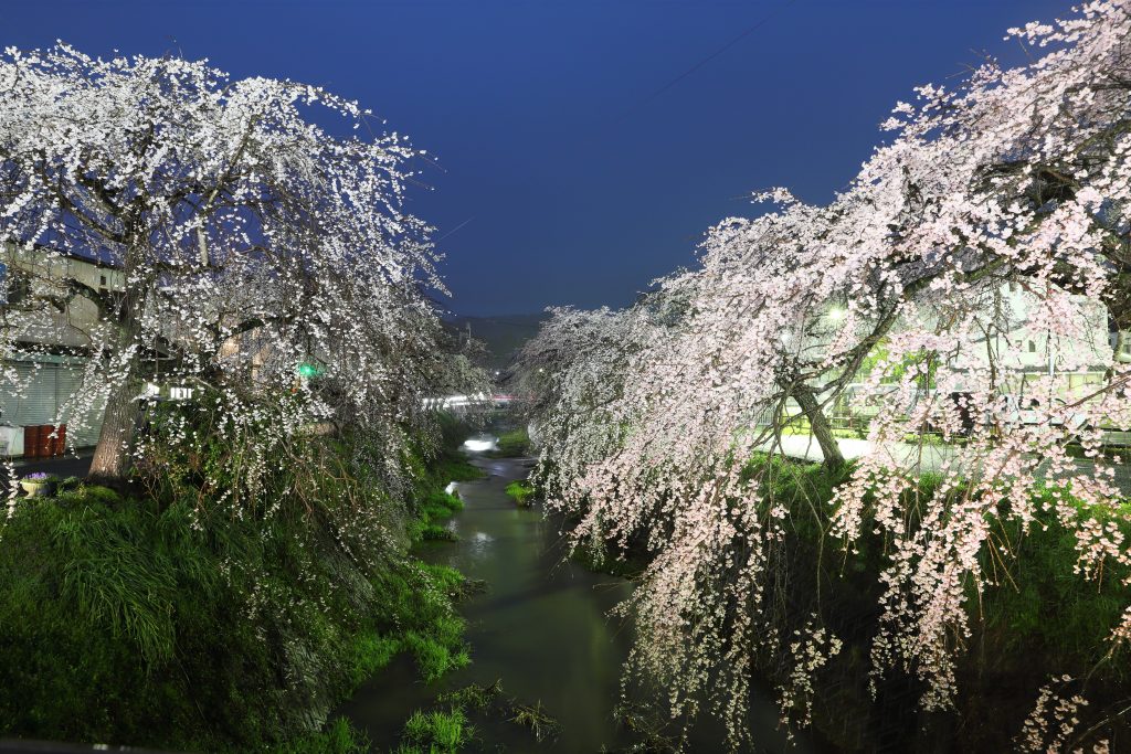 カメラ機種名Canon EOS 6D MarkⅡ レンズ	EF24-70mm f/2.8L II USM ISO感度	400 Av(絞り数値)	8.0 Tv(シャッター速度)	30 