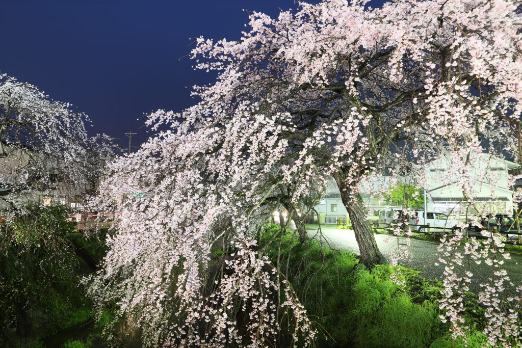 カメラ機種名Canon EOS 6D MarkⅡ レンズ	EF24-70mm f/2.8L II USM ISO感度	400 Av(絞り数値)	8.0 Tv(シャッター速度)	30 