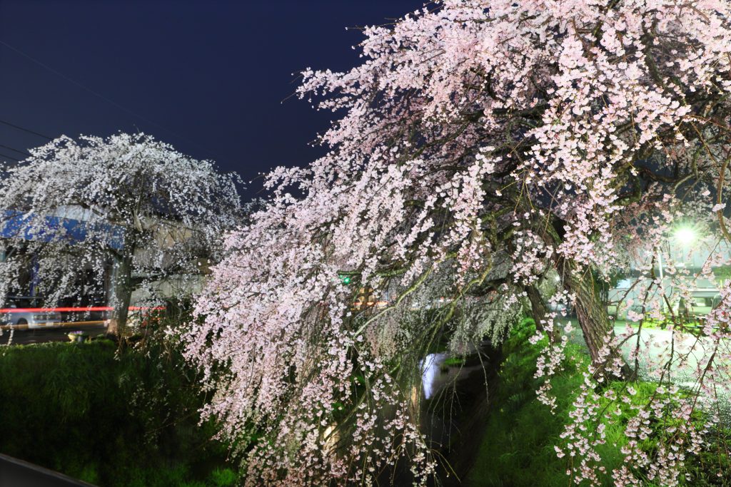 カメラ機種名Canon EOS 6D MarkⅡ レンズ	EF24-70mm f/2.8L II USM ISO感度	200 Av(絞り数値)	8.0 Tv(シャッター速度)	30 