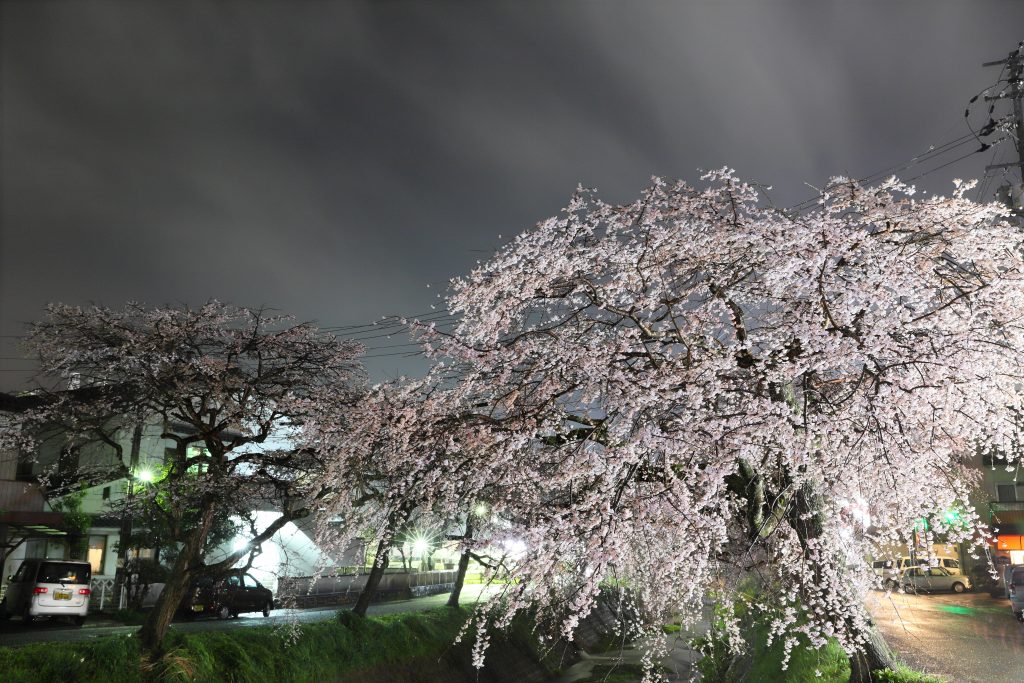 カメラ機種名Canon EOS 6D MarkⅡ レンズ	EF24-70mm f/2.8L II USM ISO感度	200 Av(絞り数値)	8.0 Tv(シャッター速度)	30 