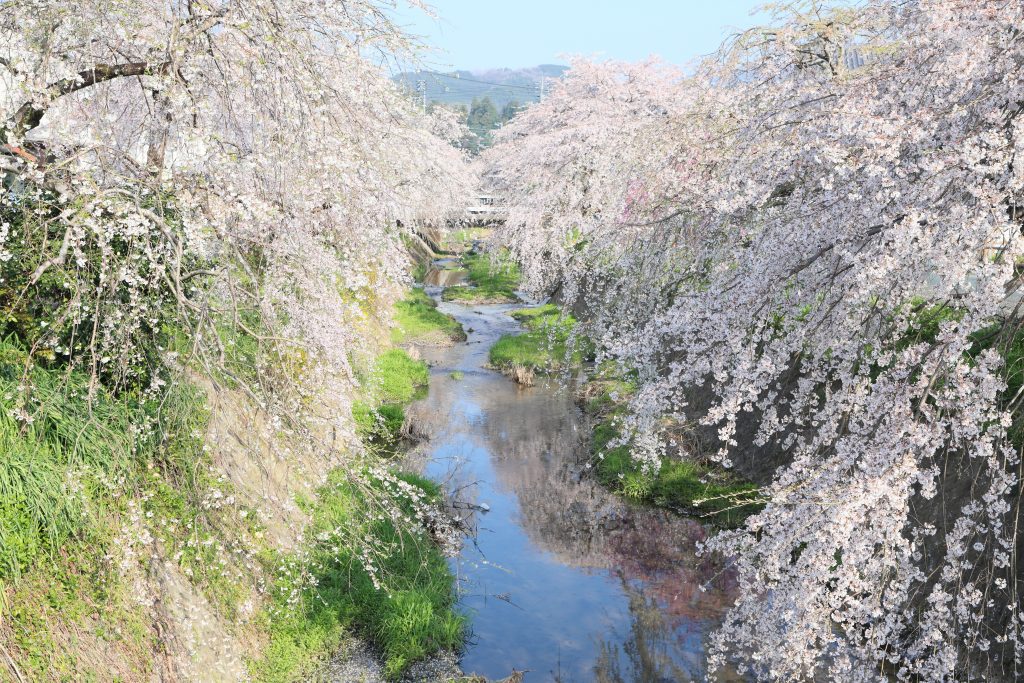 カメラ機種名Canon EOS 6D MarkⅡ レンズ EF24-70mm f/2.8L II USM ISO感度 200 Av(絞り数値) 8.0 Tv(シャッター速度) 1/160 
