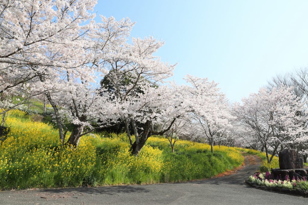 カメラ機種名Canon EOS 6D MarkⅡ レンズ EF24-70mm f/2.8L II USM ISO感度 200 Av(絞り数値) 14 Tv(シャッター速度) 1/125 