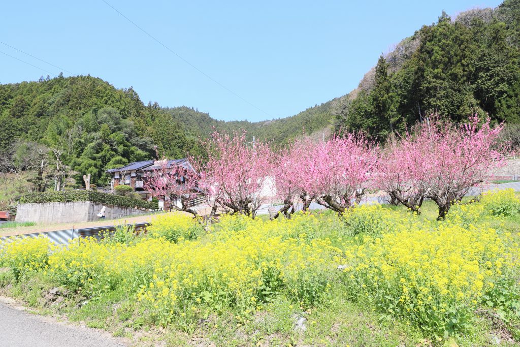 カメラ機種名Canon EOS 6D MarkⅡ レンズ EF24-70mm f/2.8L II USM ISO感度 200 Av(絞り数値) 8.0 Tv(シャッター速度) 1/200 