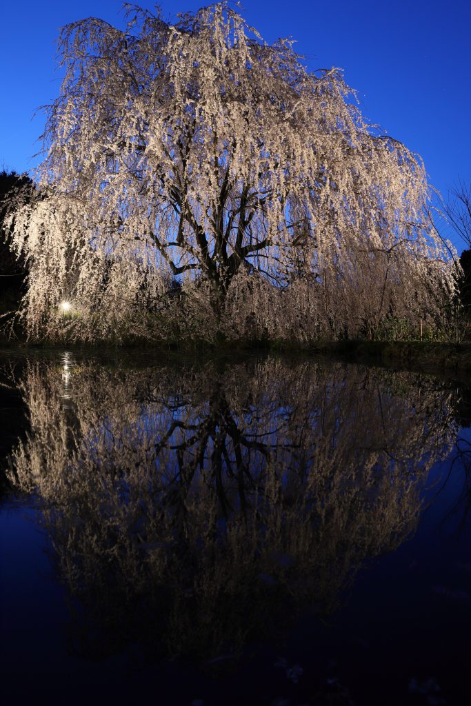 カメラ機種名Canon EOS 6D MarkⅡ レンズ	EF24-70mm f/2.8L II USM ISO感度	200 Av(絞り数値)	10 Tv(シャッター速度)	25 