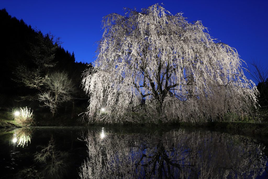 カメラ機種名Canon EOS 6D MarkⅡ レンズ	EF24-70mm f/2.8L II USM ISO感度	200 Av(絞り数値)	10 Tv(シャッター速度)	30 