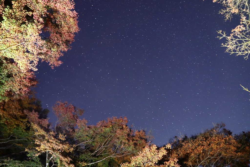 カメラ機種名Canon EOS 6D MarkⅡ レンズ EF24-70mm f/2.8L II USM ISO感度 1250 Av(絞り数値) 2.8 Tv(シャッター速度) 30 