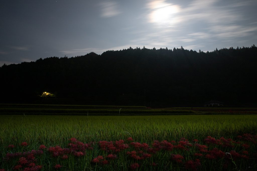 カメラ機種名Canon EOS 6D MarkⅡ レンズ	EF24-70mm f/2.8L II USM ISO感度	400 Av(絞り数値)	7.1 Tv(シャッター速度)	30 