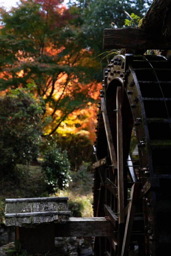 カメラ機種名Canon EOS 6D MarkⅡ レンズ	EF24-70mm f/2.8L II USM ISO感度	200 Av(絞り数値)	4.0 Tv(シャッター速度)	1/200 