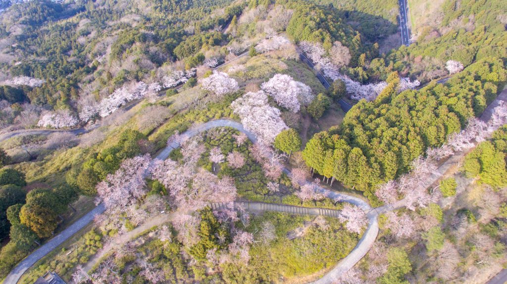 DJI_0079