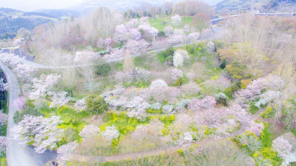 DJI_0106