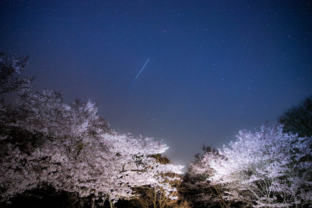 カメラ機種名Canon EOS 6D MarkⅡ レンズ	EF24-70mm f/2.8L II USM ISO感度	1600 Av(絞り数値)	2.8 Tv(シャッター速度)	30 