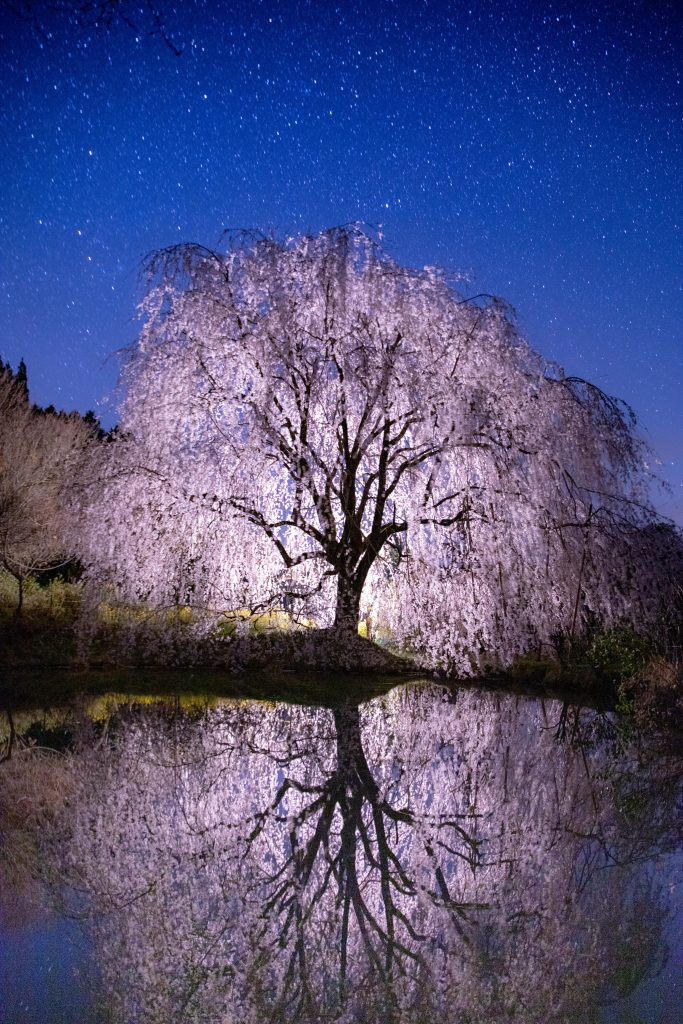 カメラ機種名Canon EOS 6D MarkⅡ レンズ	EF24-70mm f/2.8L II USM ISO感度	1600 Av(絞り数値)	2.8 Tv(シャッター速度)	30 