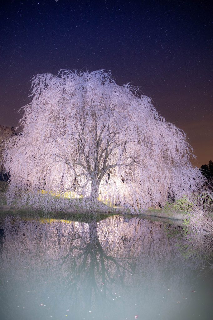 カメラ機種名Canon EOS 6D MarkⅡ レンズ EF24-70mm f/2.8L II USM ISO感度 1600 Av(絞り数値) 2.8 Tv(シャッター速度) 30 