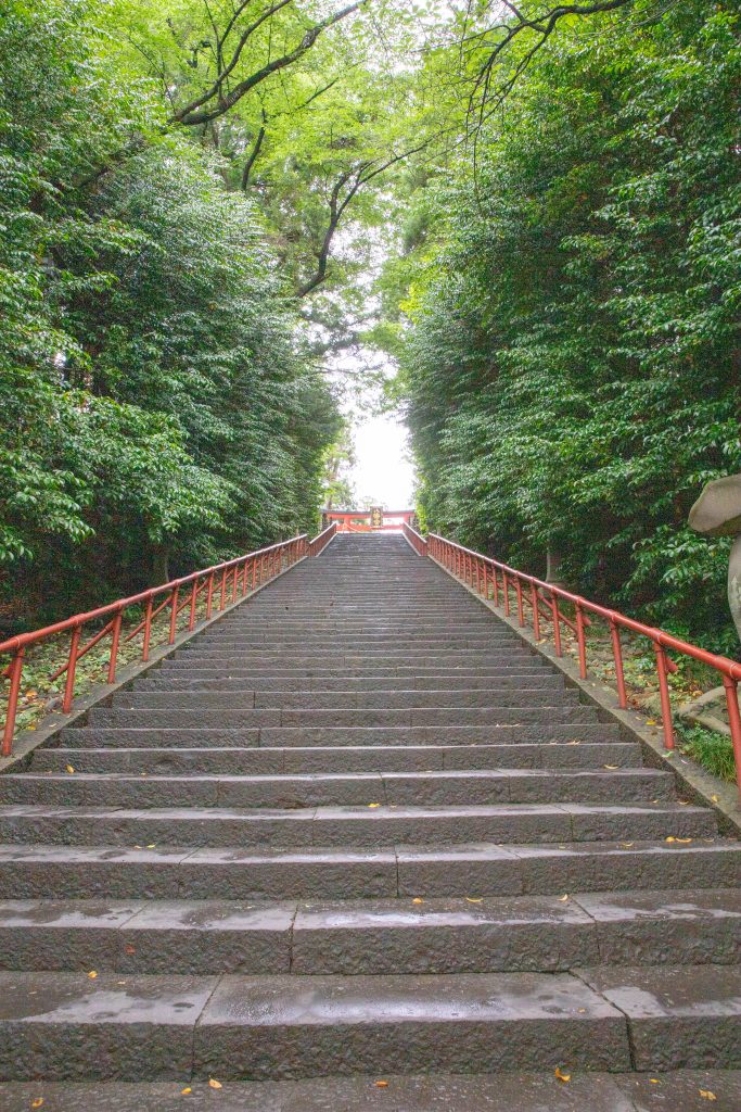 IMG_8148