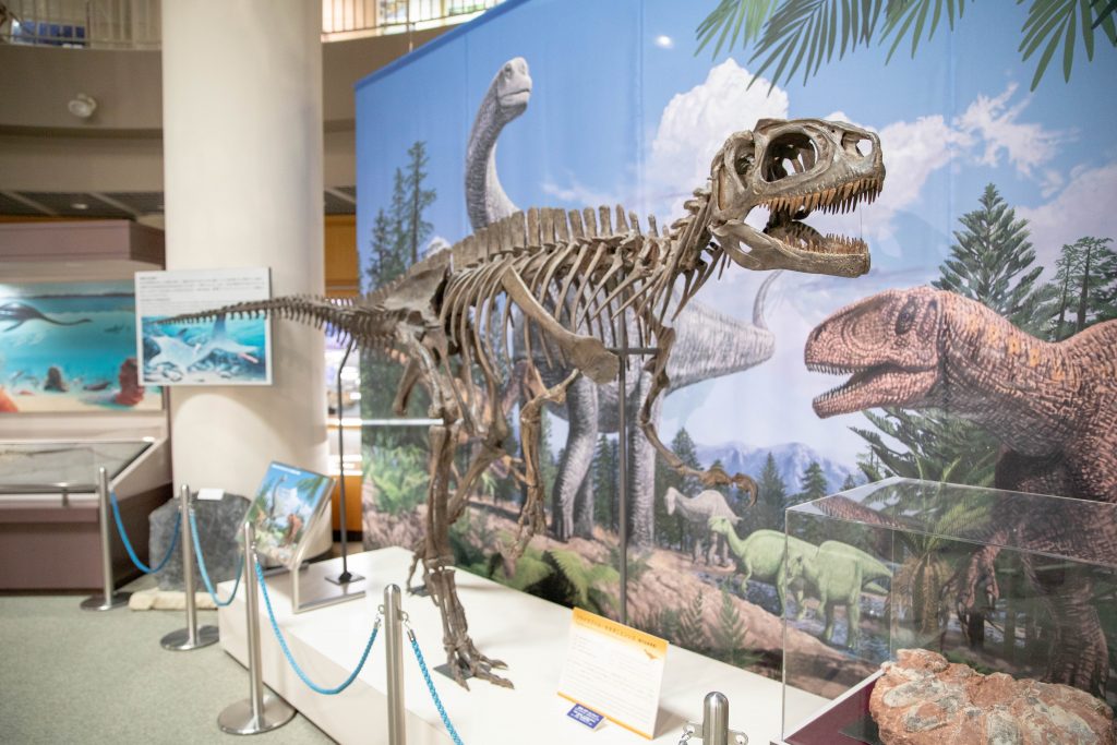 IMG_8321